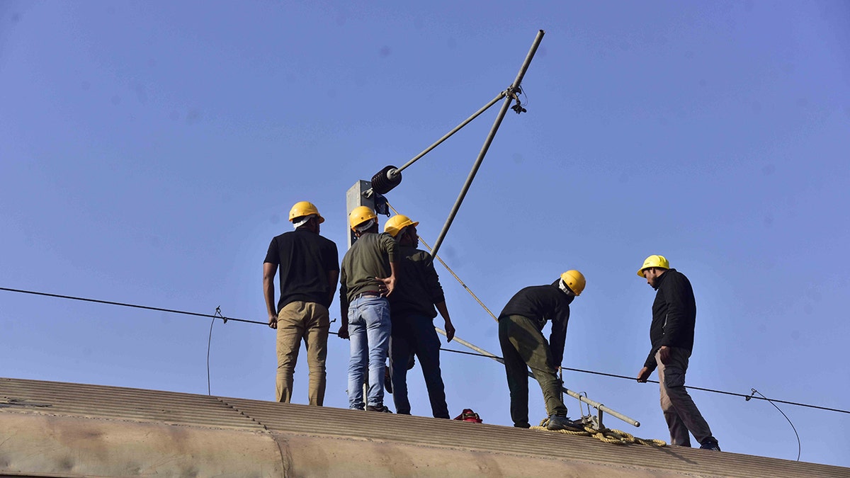 8 Elephants Killed After Collision In Assam