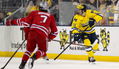 USA Hockey names 4 Michigan players to preliminary World Junior Championship roster