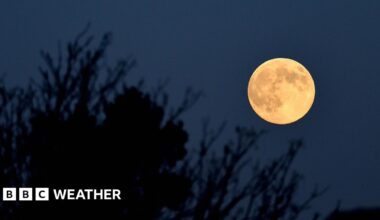 A full Moon lights up the night sky in Shenyang, Liaoning Province of China, next to a monument with Chinese dragons looking out towards the Moon
