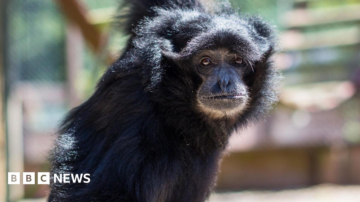 A brown NC500 sign post which says it is 27 miles to Ullapool next to a country road with hills in the background.