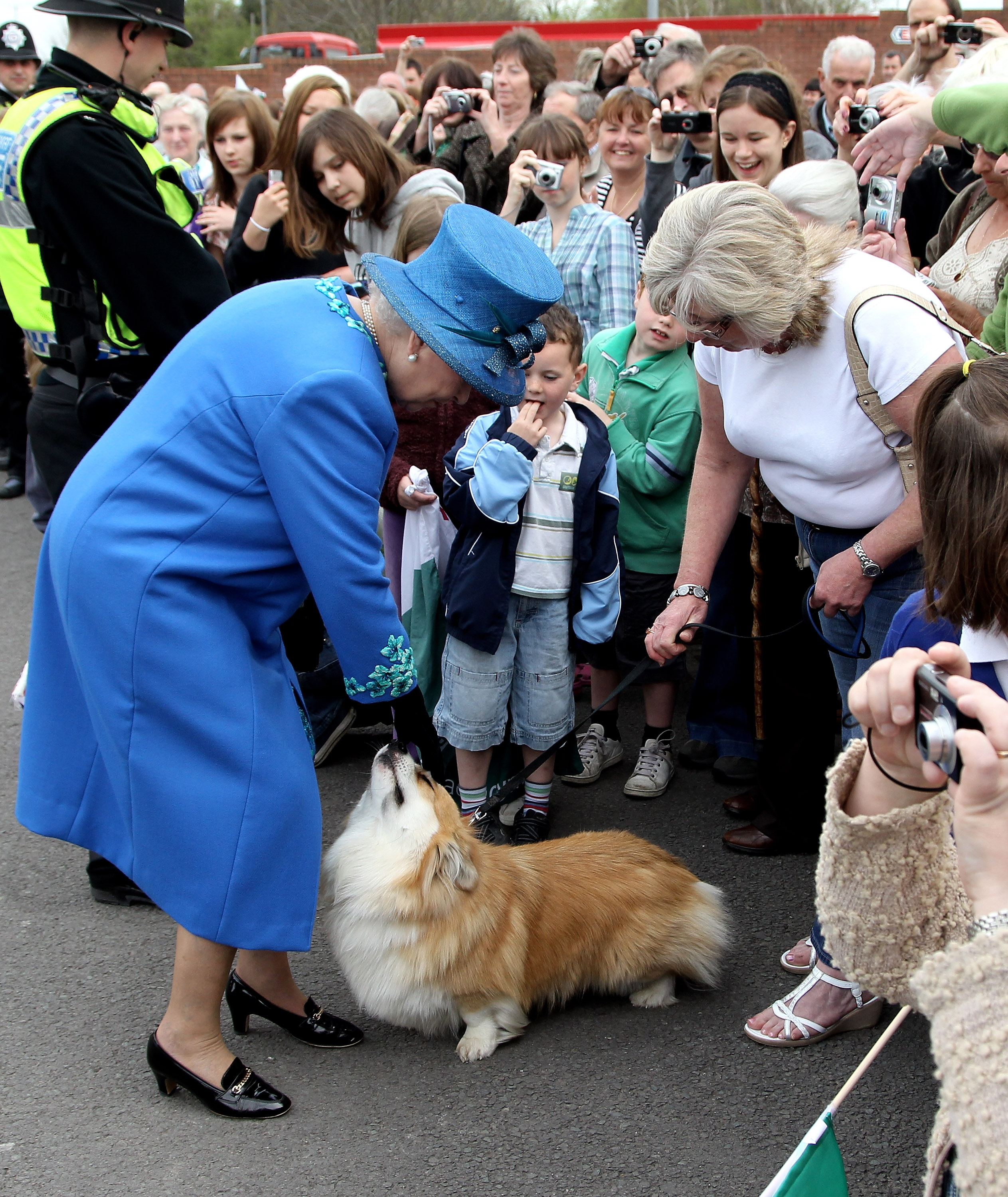 Queen Elizabeth petting a corgi