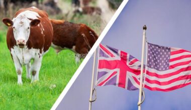 Reciprocal tariffs for beef to come into force on 1 January 2026 – NFUonline