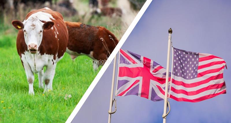 Reciprocal tariffs for beef to come into force on 1 January 2026 – NFUonline