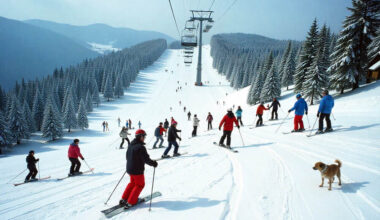 Japan Joins Austria, Italy, US, France, And Other Countries In Enforcing Tough Fines For Tourist Misbehaviour At Ski Resorts, Part Of Efforts To Curb Overtourism And Protect Local Environments