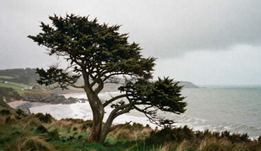 United Kingdom Braces for Extreme Weather with Strong Winds and Heavy Rain Set to Disrupt Wales and South-West England Early This Week