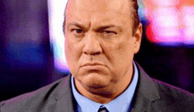 Update regarding incident between Paul Heyman and a young fan after WWE Survivor Series 2025
