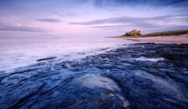 The best Boxing Day walks across the UK, from countryside rambles to coastal hikes