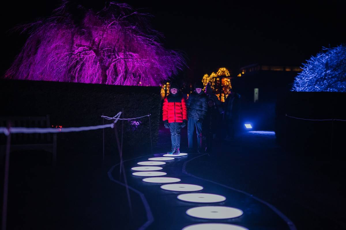 Children walking the Illuminated Arboretum trail