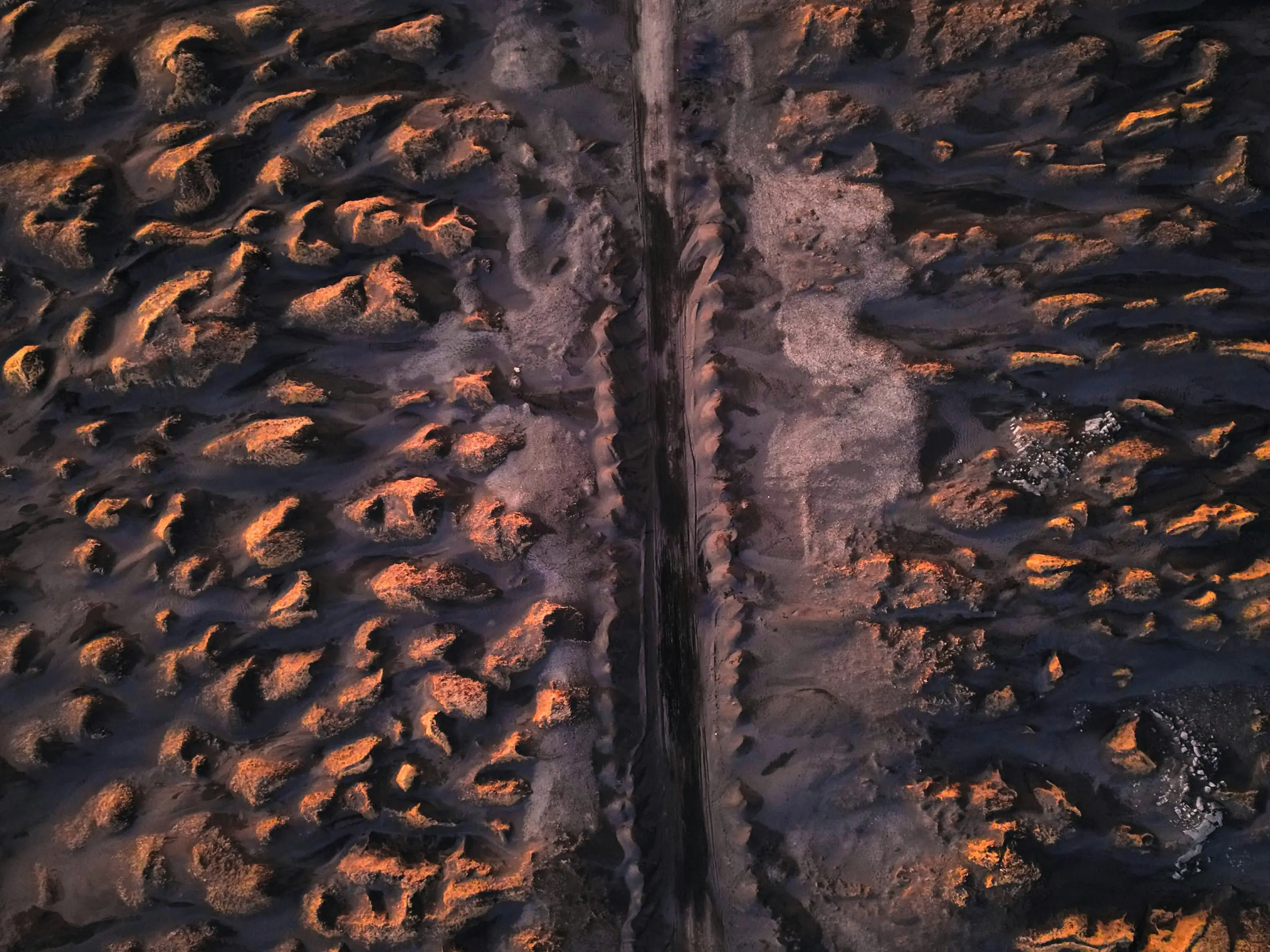 T. rex tooth leads scientists to make a shocking discovery about brute that ate dinosaurs