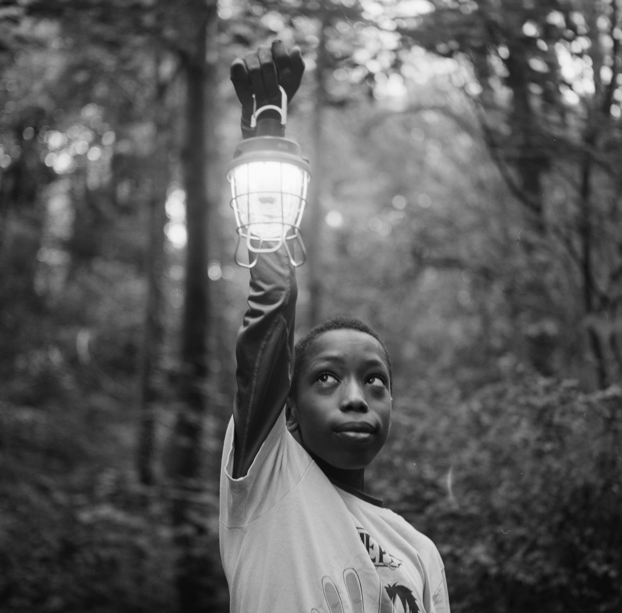 A boy holds a glowing lantern, surrounding by trees. 