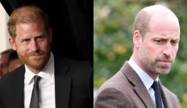 Prince Harry drops bombshell on William as powerful UK plot exposed