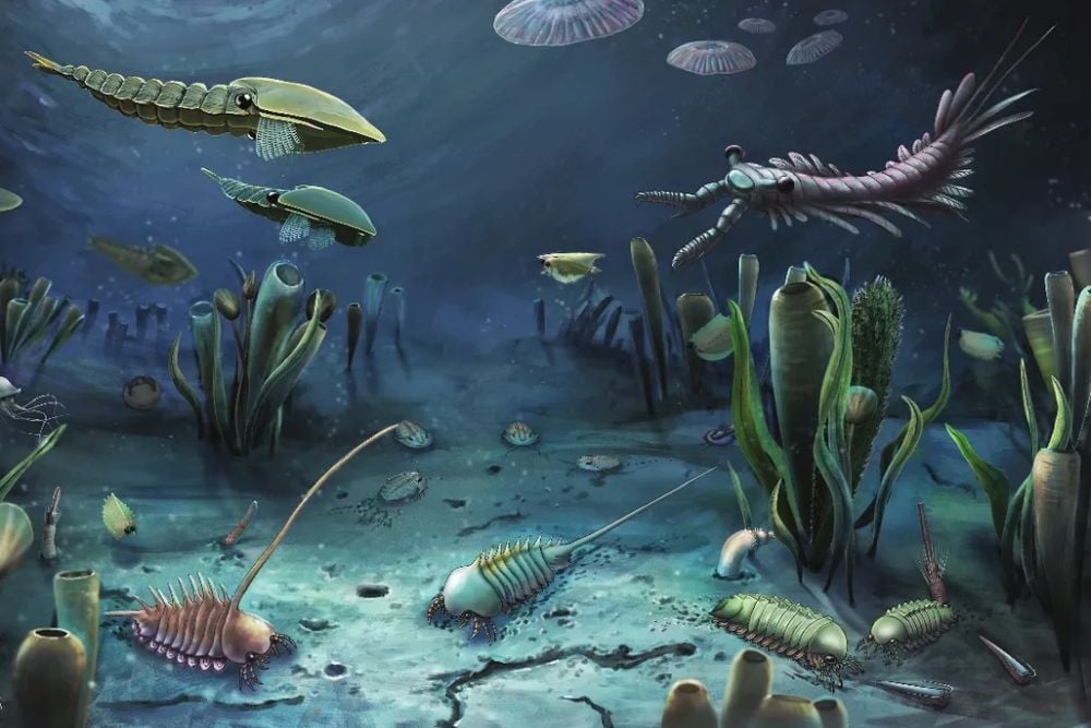 Complex, multicellular life only exists because of the Great Oxygenation Event. This image represents the Cambrian Explosion, an episode in Earth's history that began about 539 million years ago and lasted up to 25 million years. During this critical period, the variety of complex life exploded, and nearly all animal phyla began to appear in the fossil record. Image Credit: Animal life seemed to explode into a wide variety of new forms in the Cambrian period. Sun et al. (2002). National Science Review. via Wikipedia under CC By 4.0