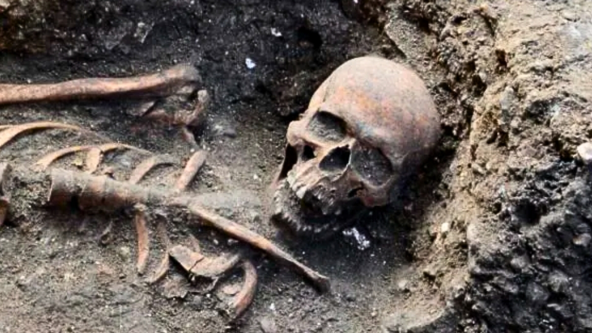 Plague Victims Among More Than 20 Skeletons Found at Tower of London : ScienceAlert