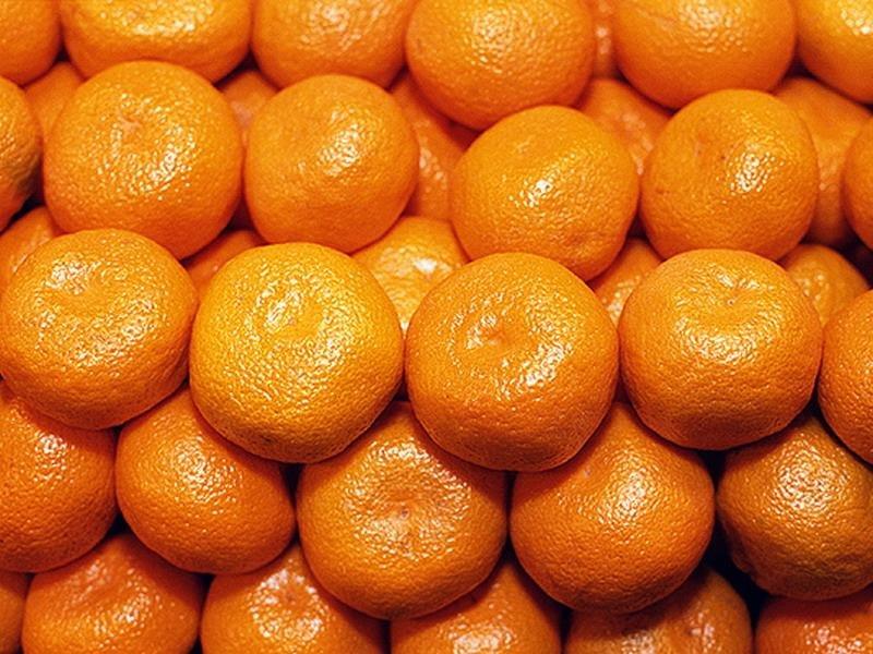 Morocco sets new seasonal record for mandarin exports to Germany • EastFruit