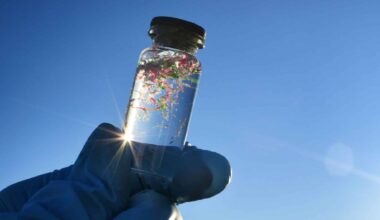 Microplastics Pollution