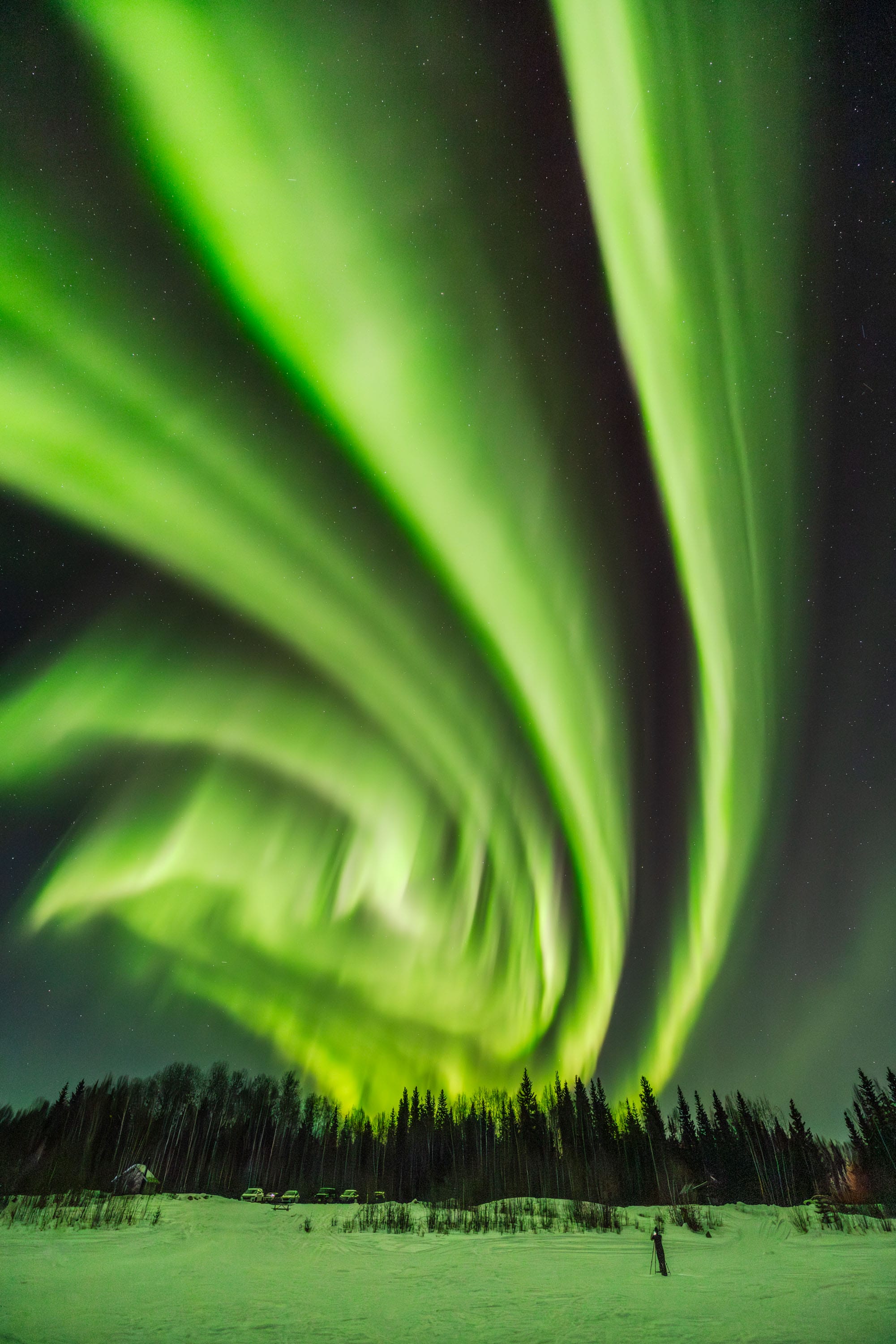 Green aurora borealis over a snowy, forested landscape