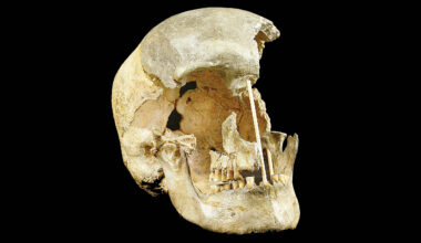 Oldest human DNA ever found reveals unknown 'modern' ancestor