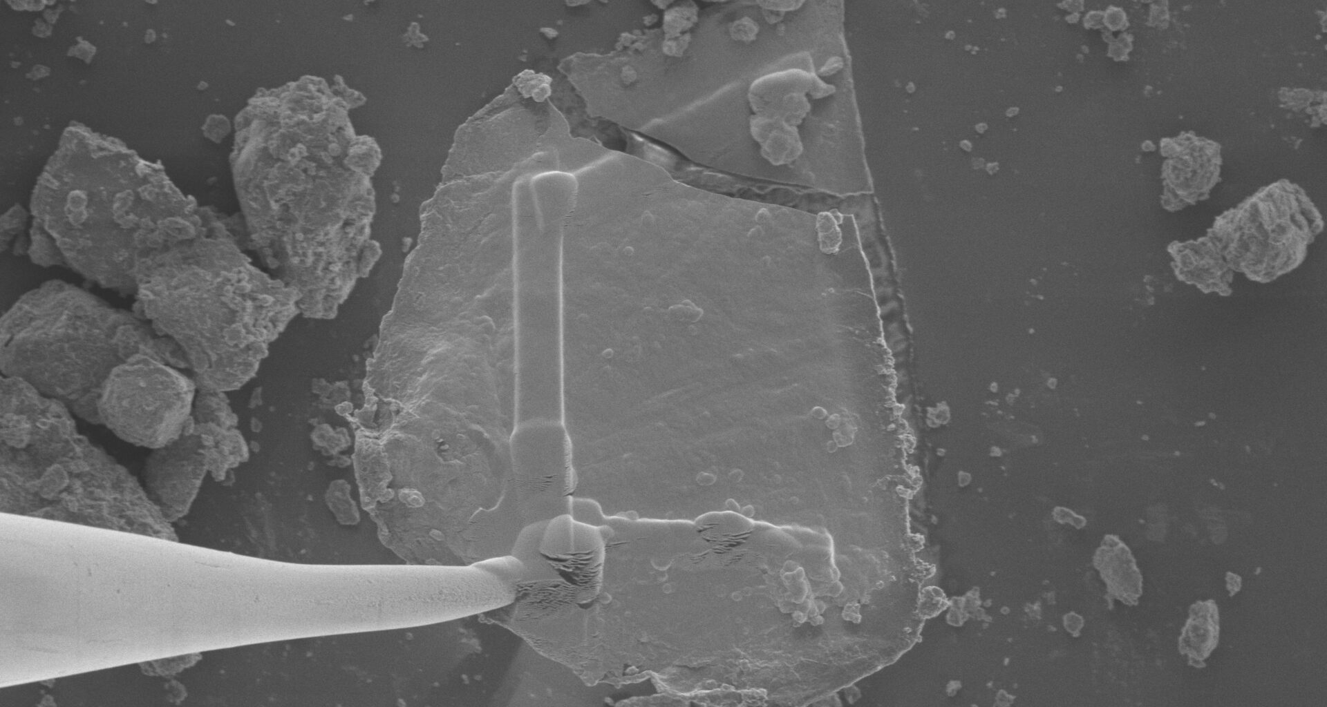 Sugars, ‘Gum,’ Stardust Found in NASA’s Asteroid Bennu Samples