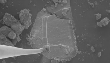 Sugars, ‘Gum,’ Stardust Found in NASA’s Asteroid Bennu Samples