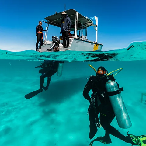 AIMS/ Daneil Estcourt Researchers from the Australian Institute of Marine Science sink beneath the waves to study the sounds of Ningaloo Reef, Australia (Credit: AIMS/ Daneil Estcourt)