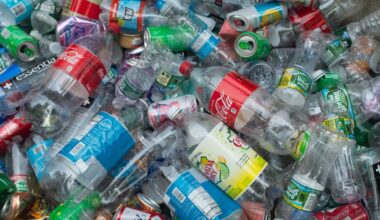 Recycling Can’t Solve Our Plastic Crisis