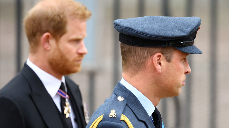 Prince Harry and Prince William side profiles