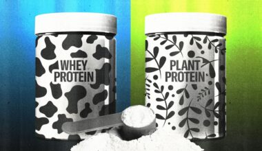 Which Type of Protein Powder Has the Least Lead?