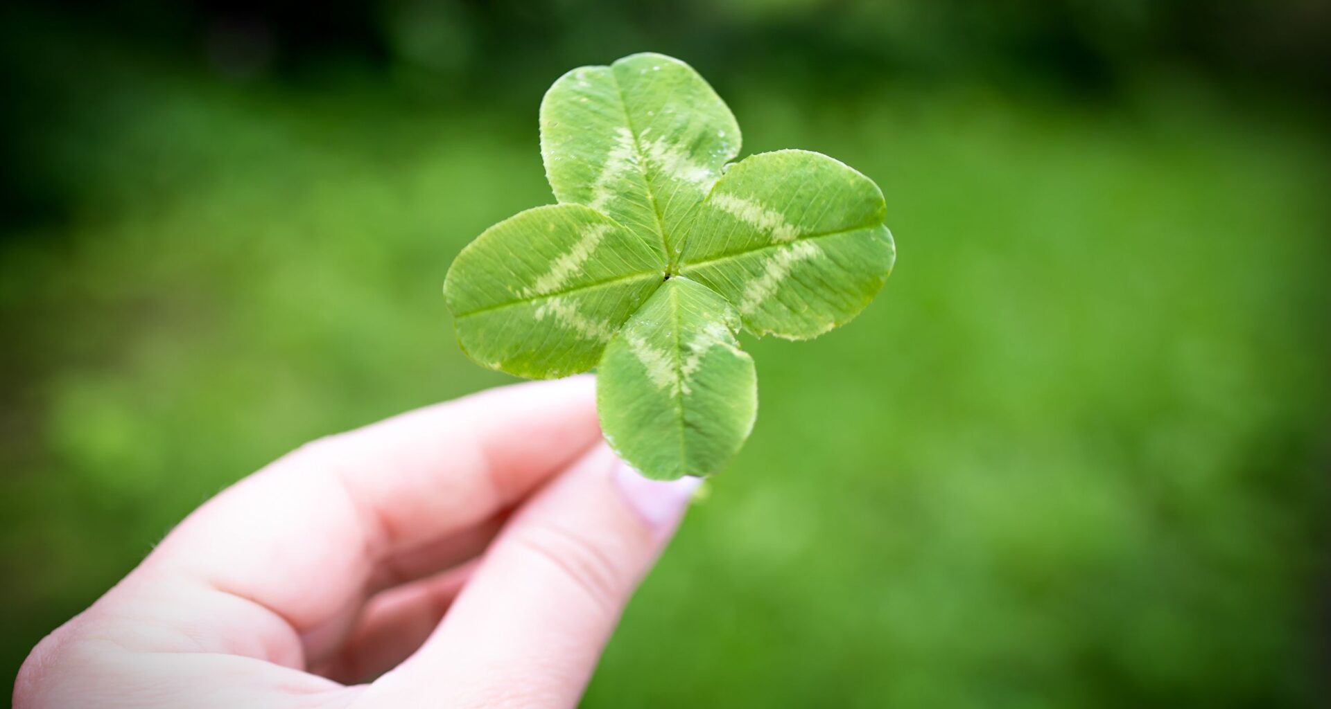 Financial To-Dos to Finish 2025 Strong and Start 2026 Stronger