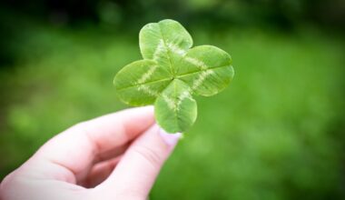 Financial To-Dos to Finish 2025 Strong and Start 2026 Stronger