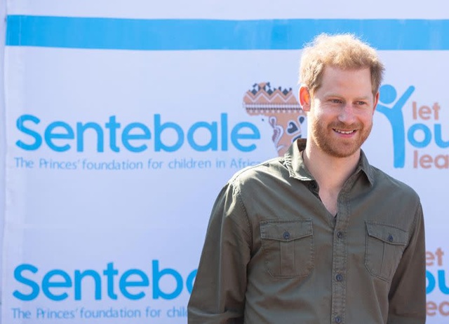 UK’s Prince Harry quits his African AIDS charity in dispute with leader – Mozambique