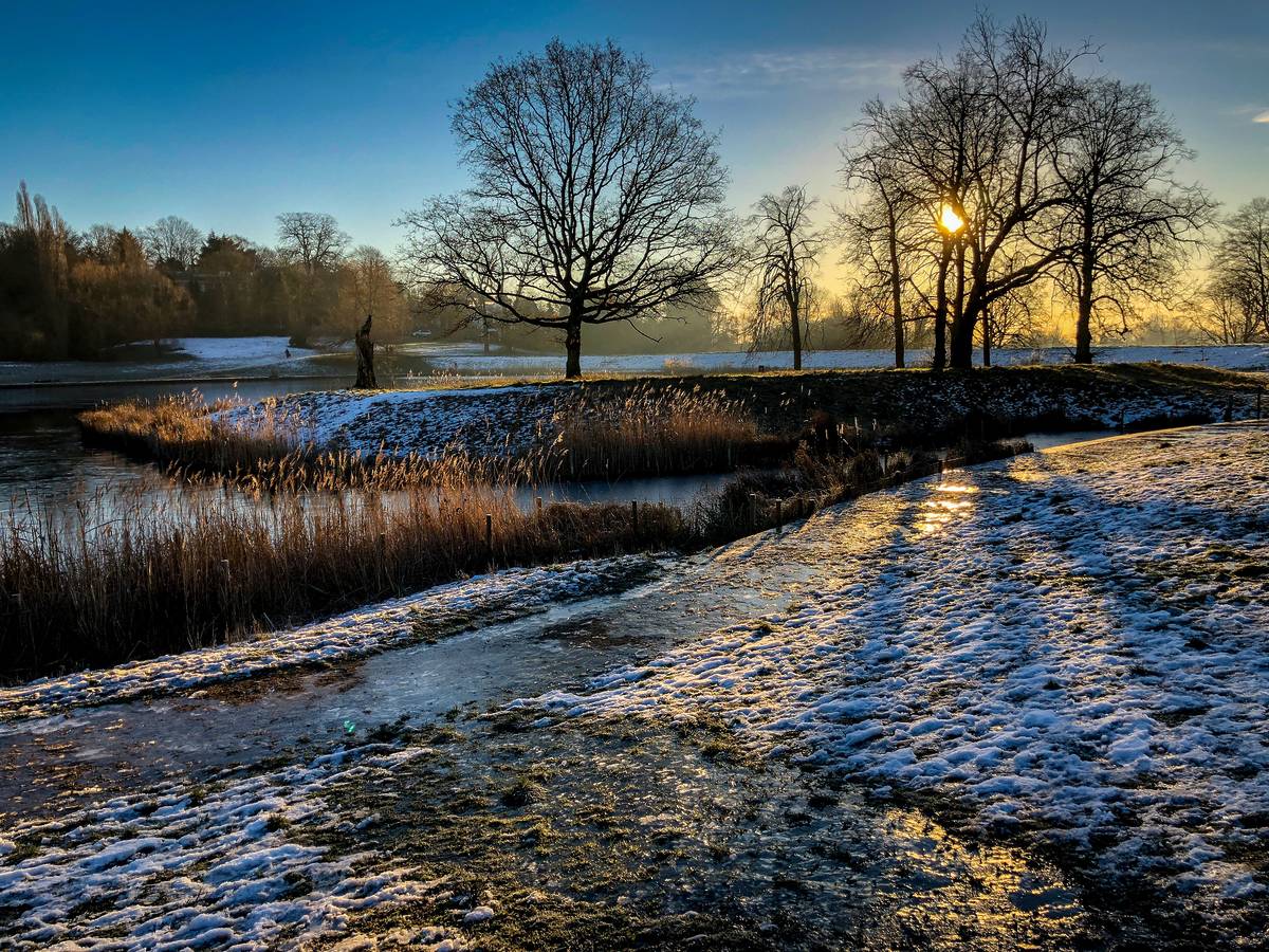 Hampstead heath at sunset with a dusting of frost on the floor