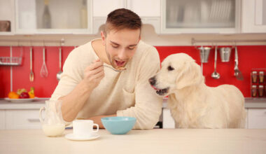 Cisco decides homegrown AI model is fit to power its wares • The Register