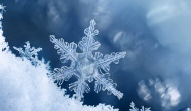 Snowflake jumps on agentic AI train with Anthropic tie-up • The Register