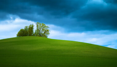 Vibrance vs Saturation: The Mistake That Makes Sunsets Look Fake