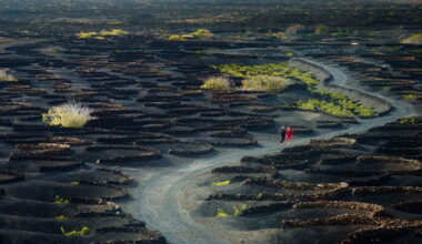 Teaser Trailer: Almodovar's "Bitter Christmas"