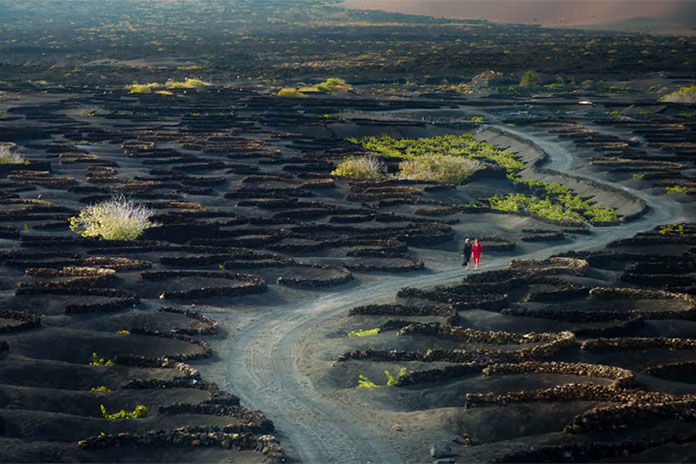 Teaser Trailer: Almodovar's "Bitter Christmas"