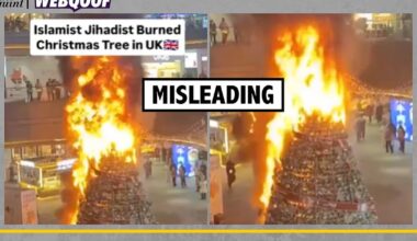 Check | Old, Unrelated Video Shared as Christmas Tree Set on Fire in United Kingdom