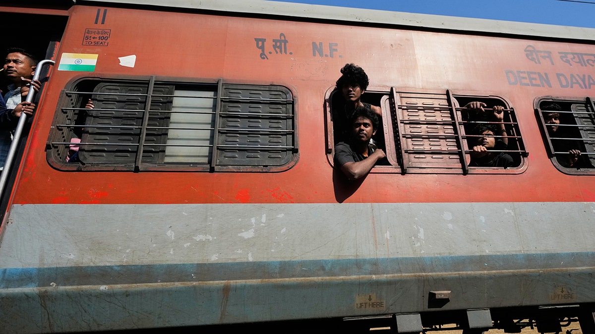 India Elephants Accident