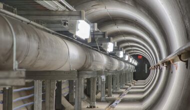 Brighter Side of News