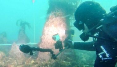 Divers discover massive 7,000-year-old undersea wall off coast of France