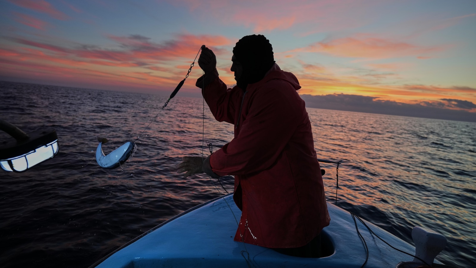Cypriot fishermen battle invasive lionfish and turn them into a tavern delicacy