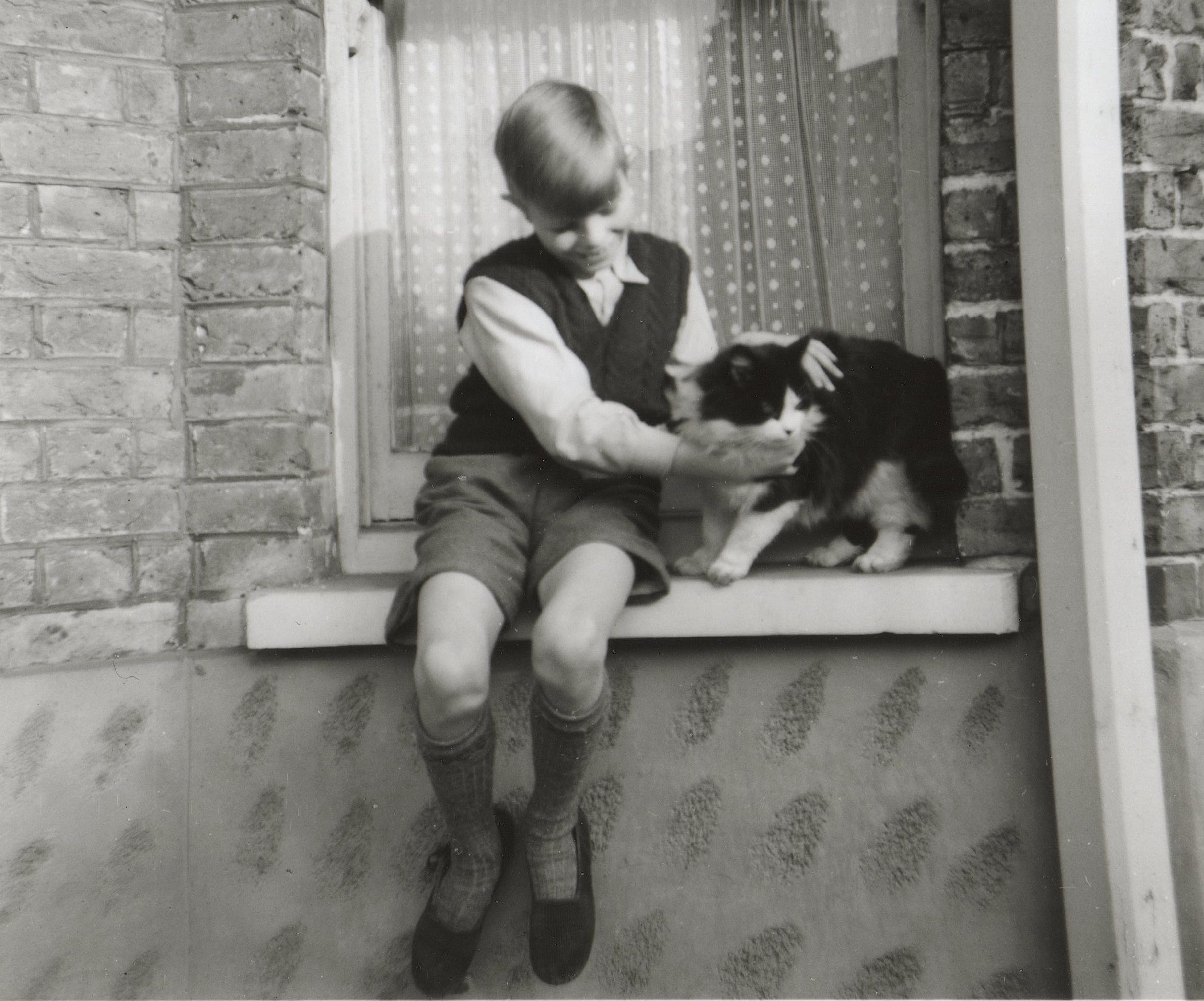 Young David Bowie petting a cat on a window ledge.
