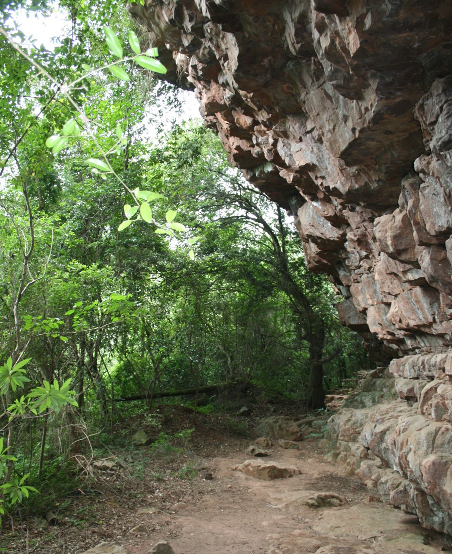View of a section of the abri Umhlatuzana Rock Shelter in South Africa.