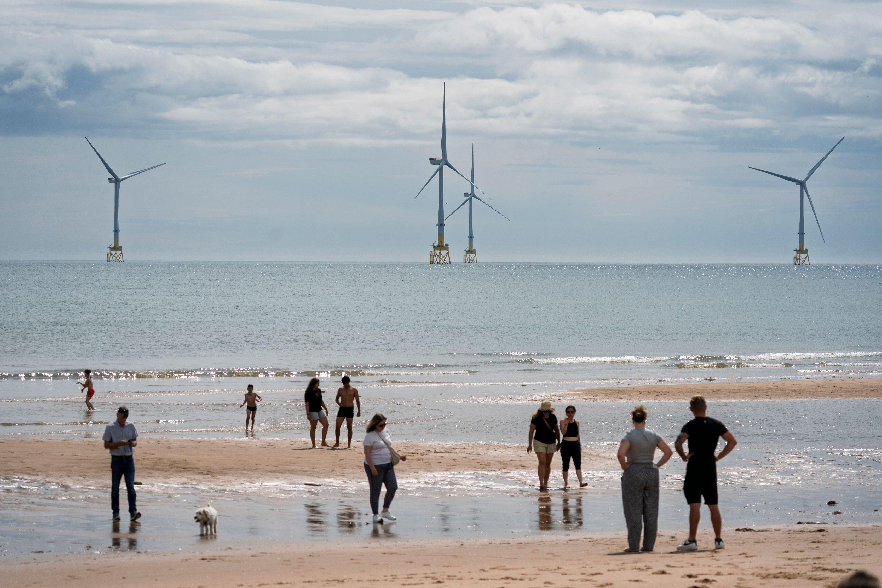 People walk along a beach with offshore wind turbines in the distance.