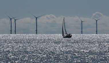 Renewables accounted for 47.5% of electricity sources in the EU and 65.8% in Portugal in 2024