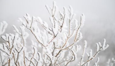 Snow and ice warning issued for Northern Ireland