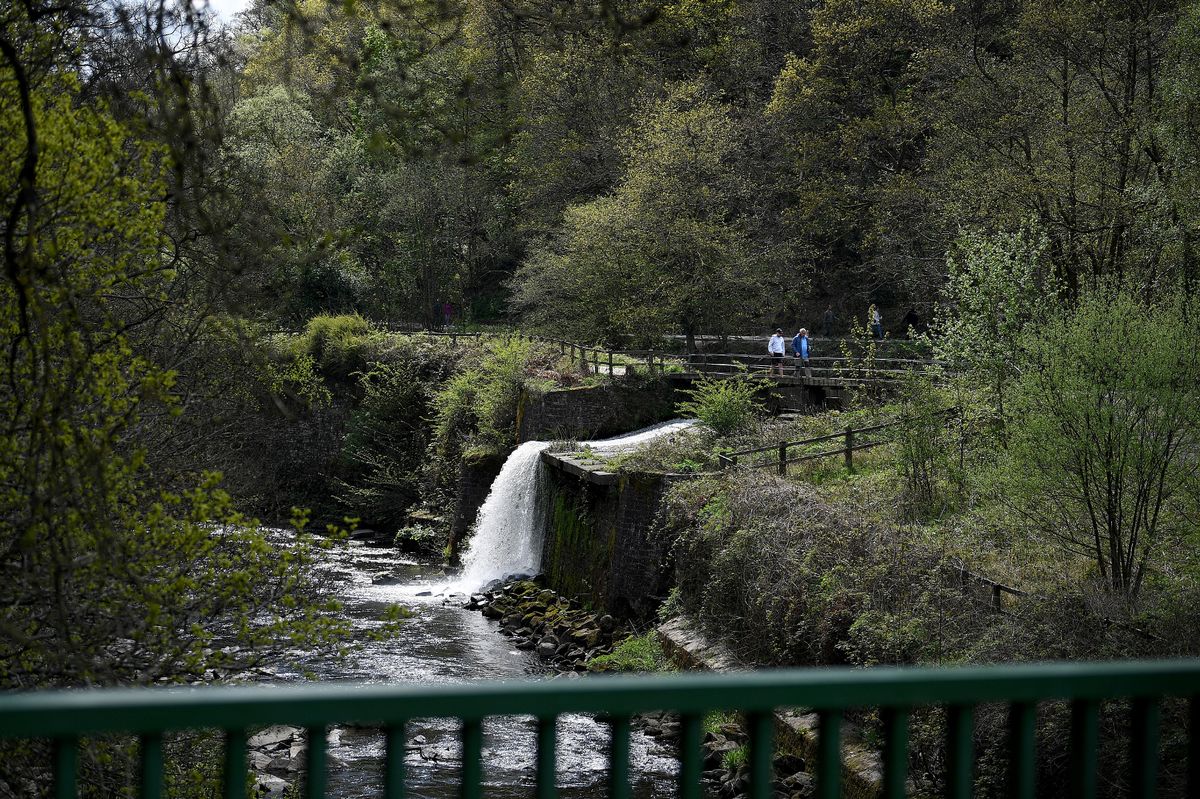 Etherow Country Park