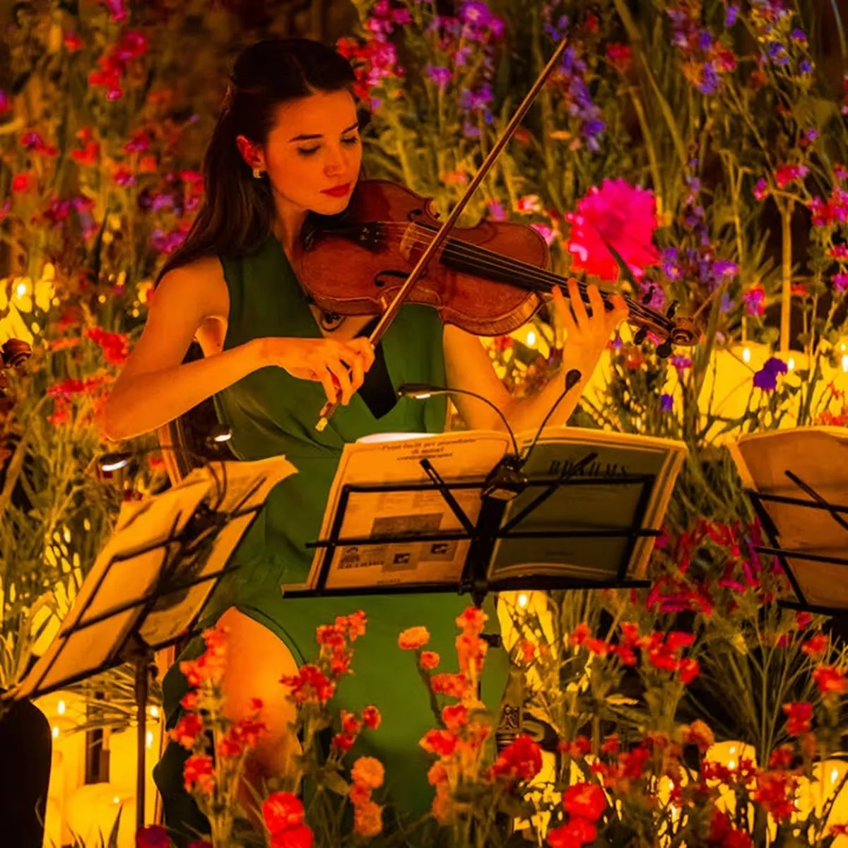 Candlelight: Best of Bridgerton on Strings