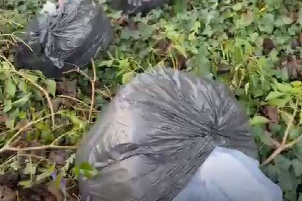 A male has been caught on CCTV dumping rubbish bags in Belle Walk, Moseley just after midnight on Feb 7, 2024