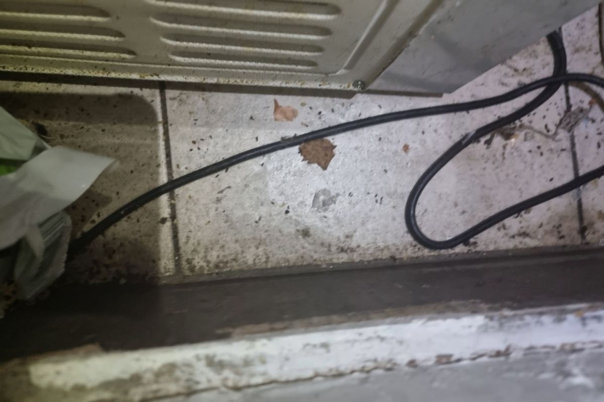 Mouse droppings found in Amara Wallasey by Wirral Council food hygiene inspectors